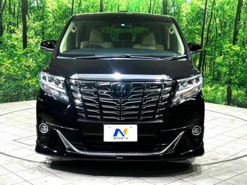 ALPHARD-18