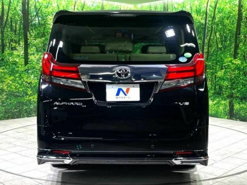 ALPHARD-19