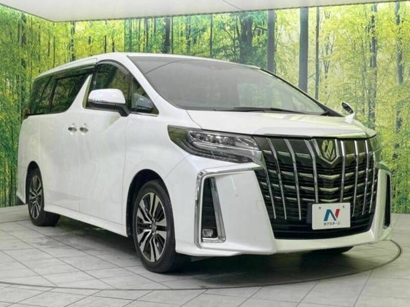 ALPHARD-17