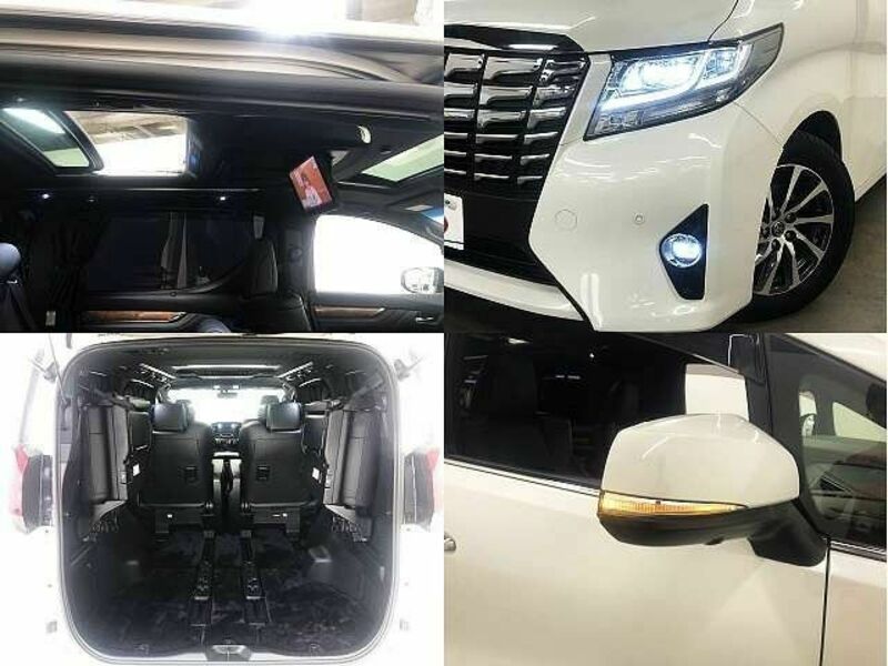 ALPHARD-7