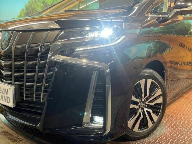 ALPHARD-13