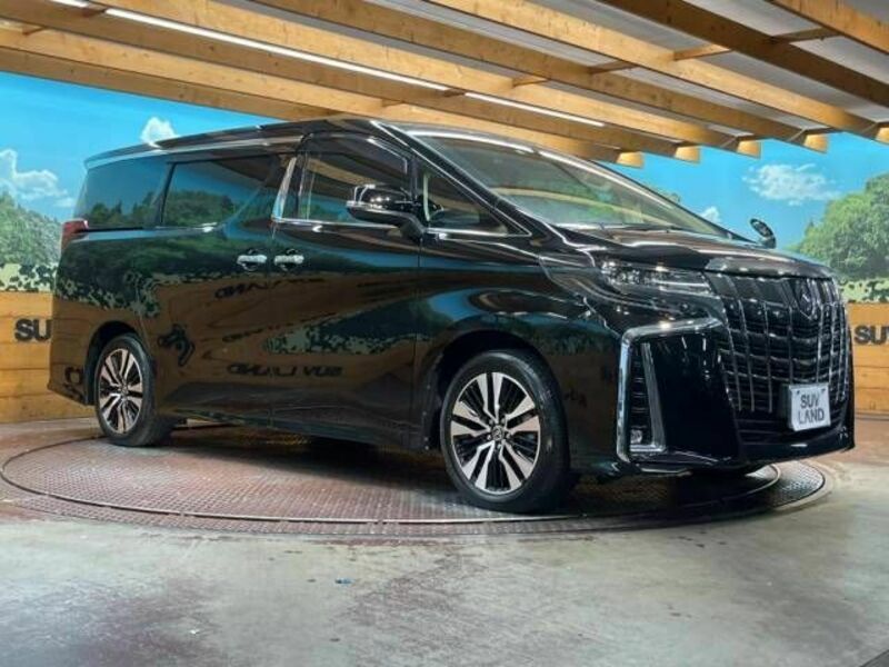 ALPHARD-17