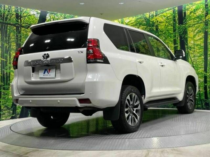 LAND CRUISER PRADO-18