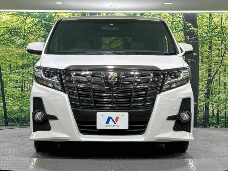 ALPHARD-15