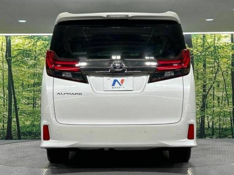 ALPHARD-16