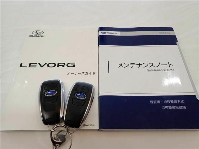 LEVORG-2