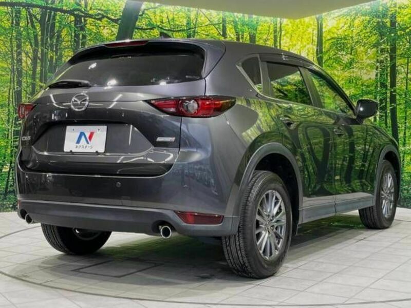 CX-5-17