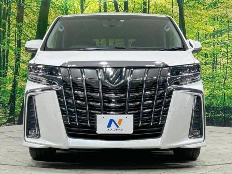 ALPHARD-15