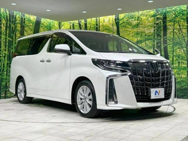 ALPHARD-17