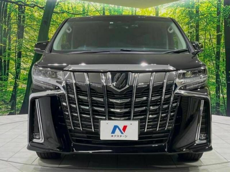 ALPHARD-15