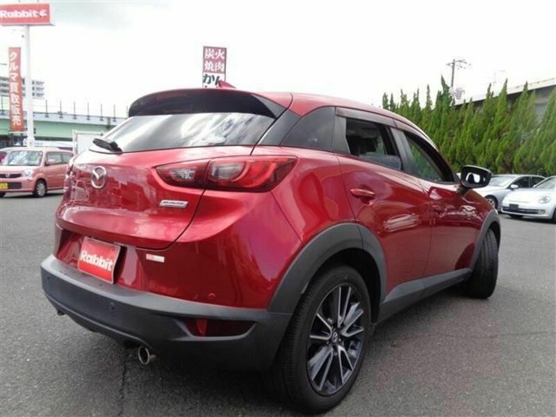 CX-3-13