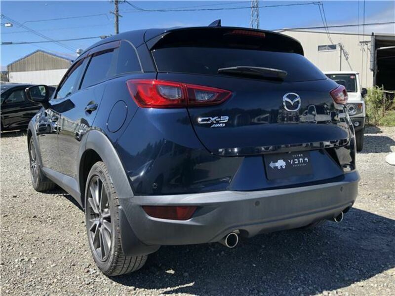 CX-3-1