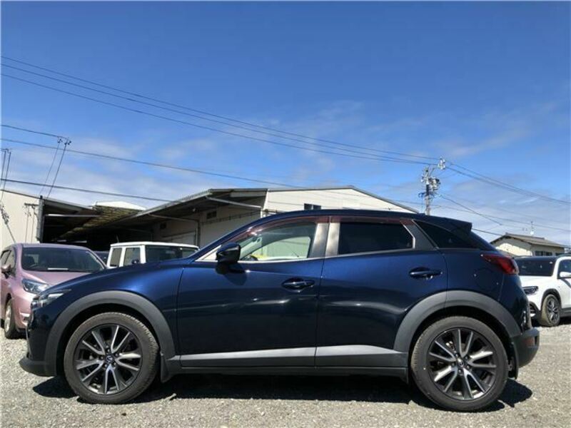 CX-3-8