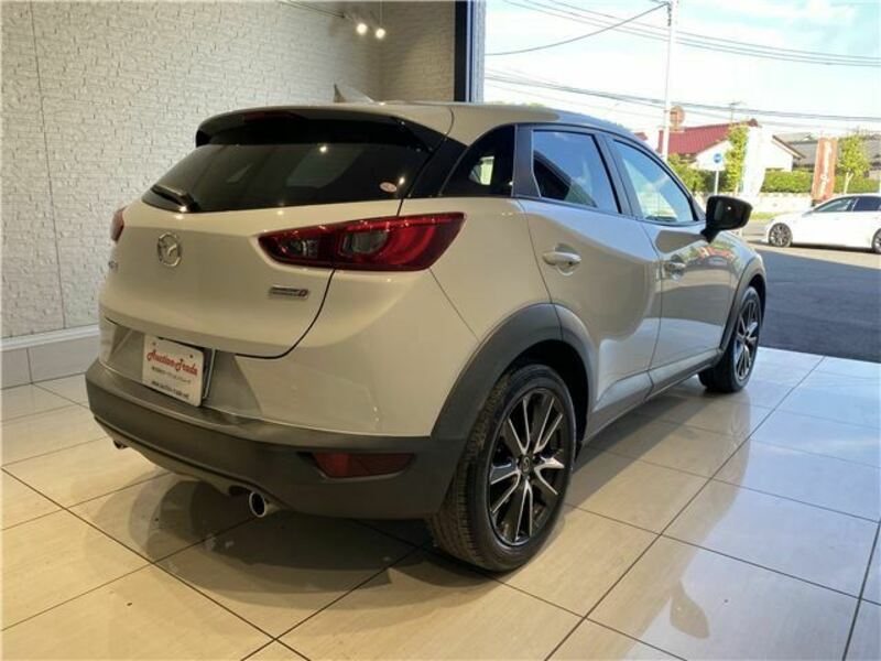 CX-3-6