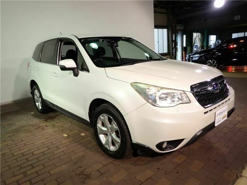 FORESTER-30