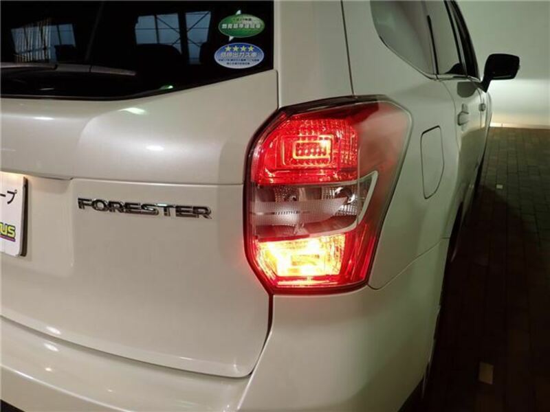 FORESTER-33