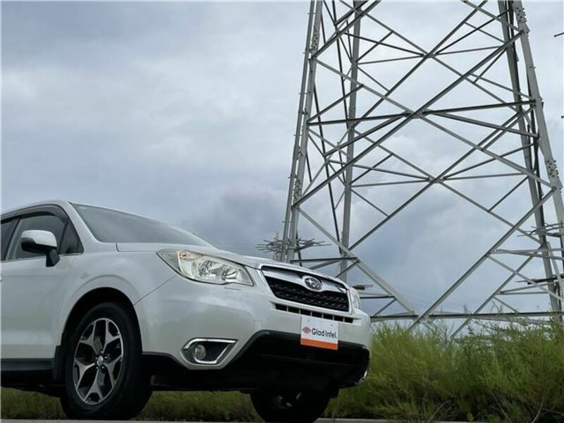 FORESTER-6