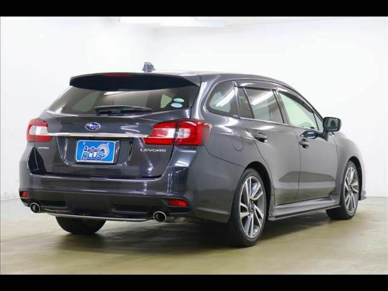 LEVORG-18