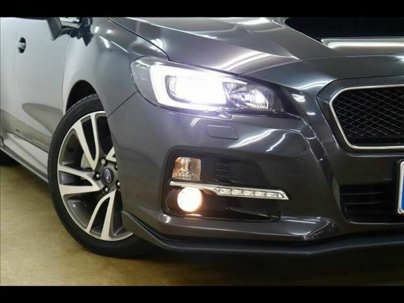 LEVORG-24