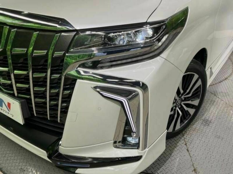 ALPHARD-13