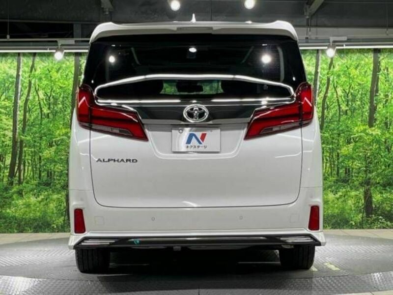 ALPHARD-16