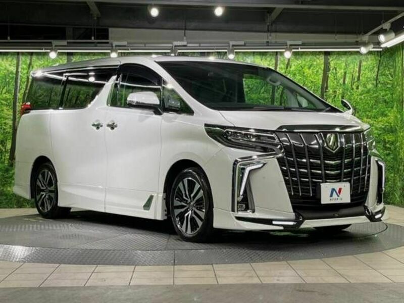 ALPHARD-17