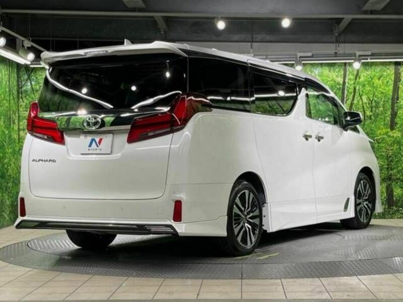 ALPHARD-18