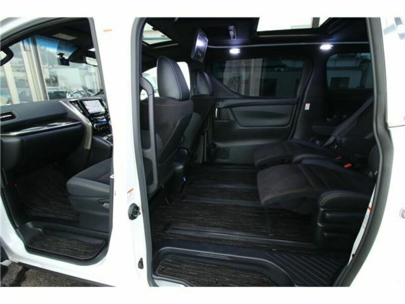 ALPHARD-31