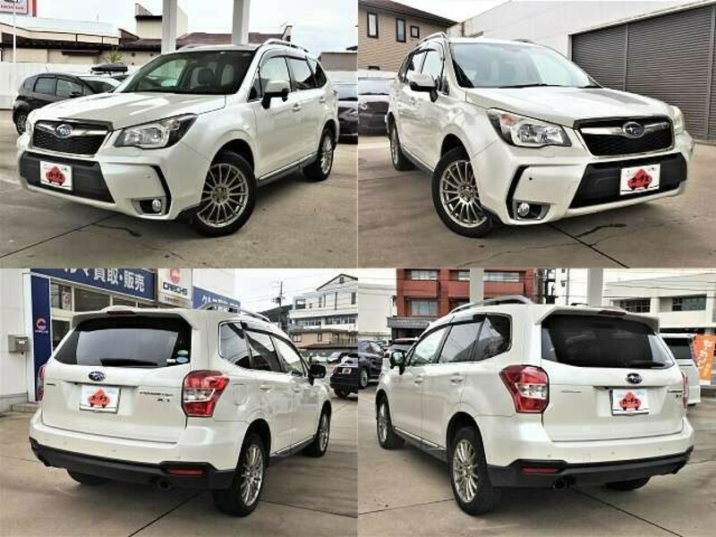 FORESTER