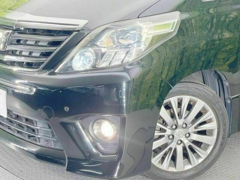 ALPHARD-12