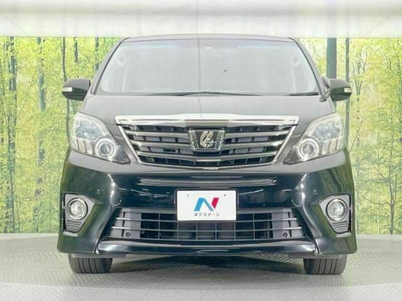 ALPHARD-14