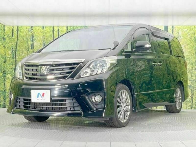 ALPHARD-16