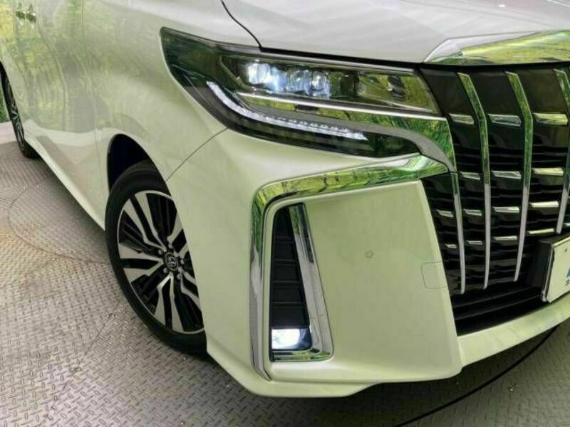 ALPHARD-13