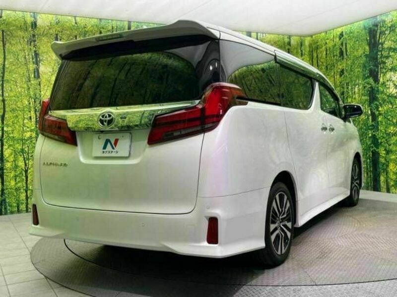 ALPHARD-18