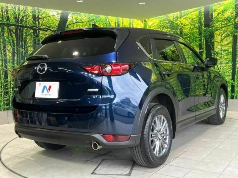 CX-5-17