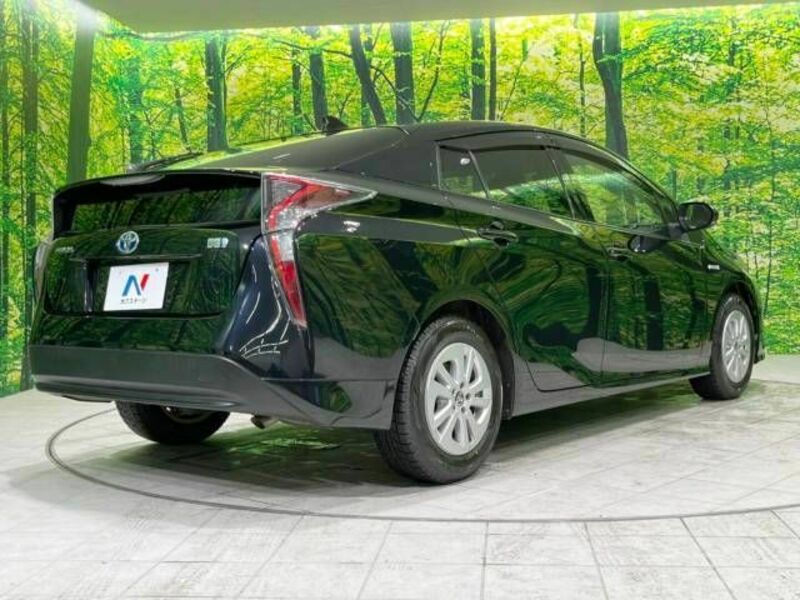 PRIUS-17