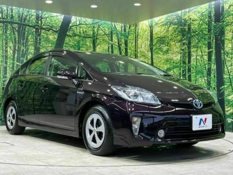 PRIUS-16