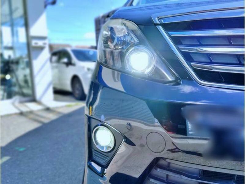 ALPHARD-11