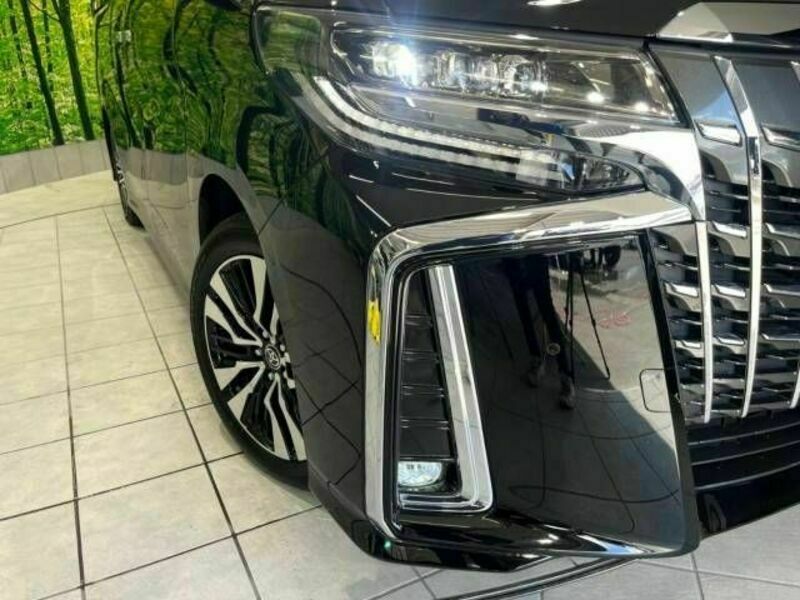 ALPHARD-12