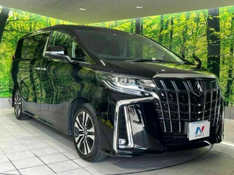 ALPHARD-16