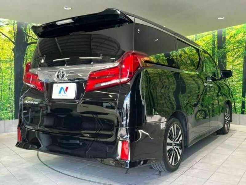 ALPHARD-17