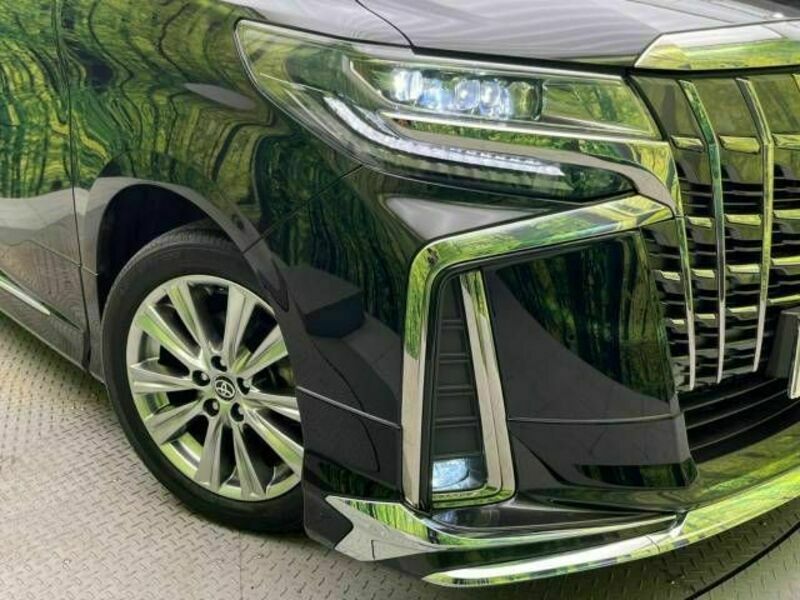 ALPHARD-12