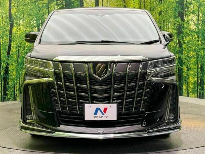 ALPHARD-14