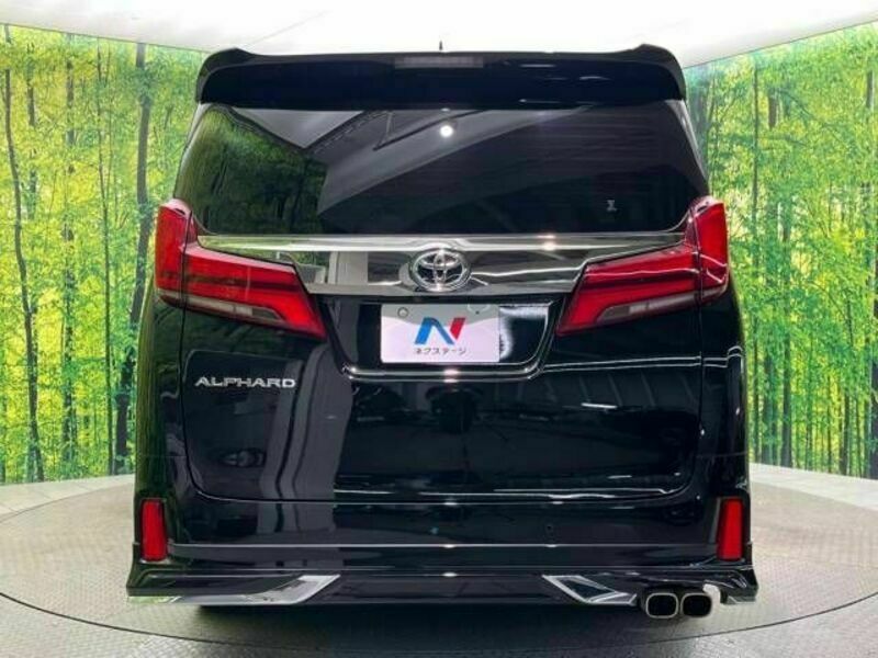 ALPHARD-15