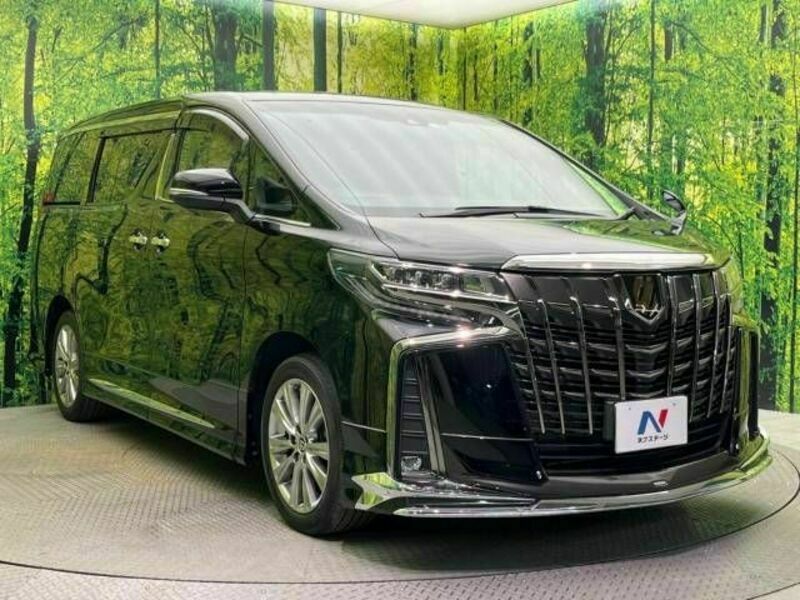 ALPHARD-16