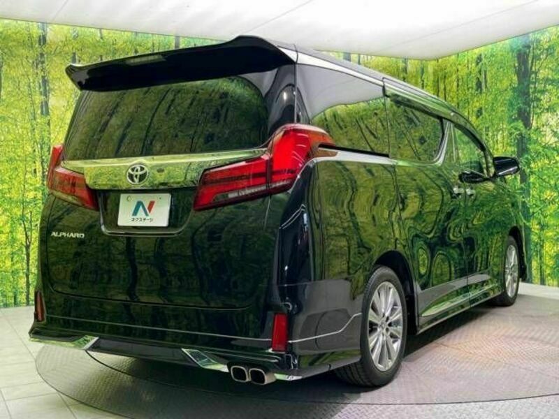 ALPHARD-17