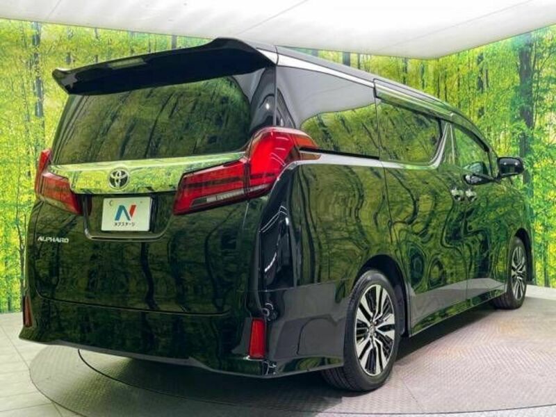 ALPHARD-17