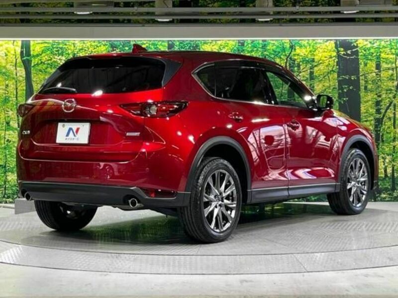 CX-5-17