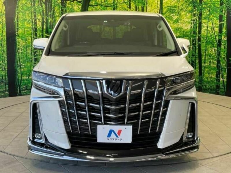 ALPHARD-16