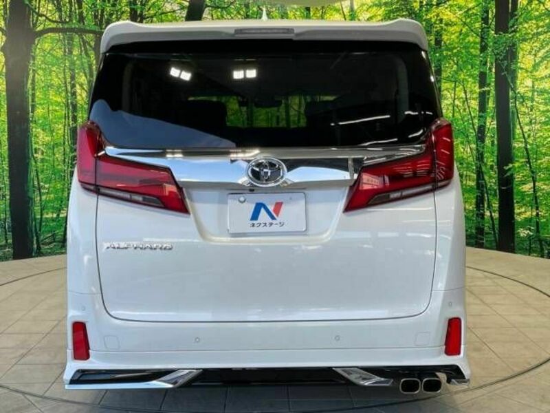 ALPHARD-17